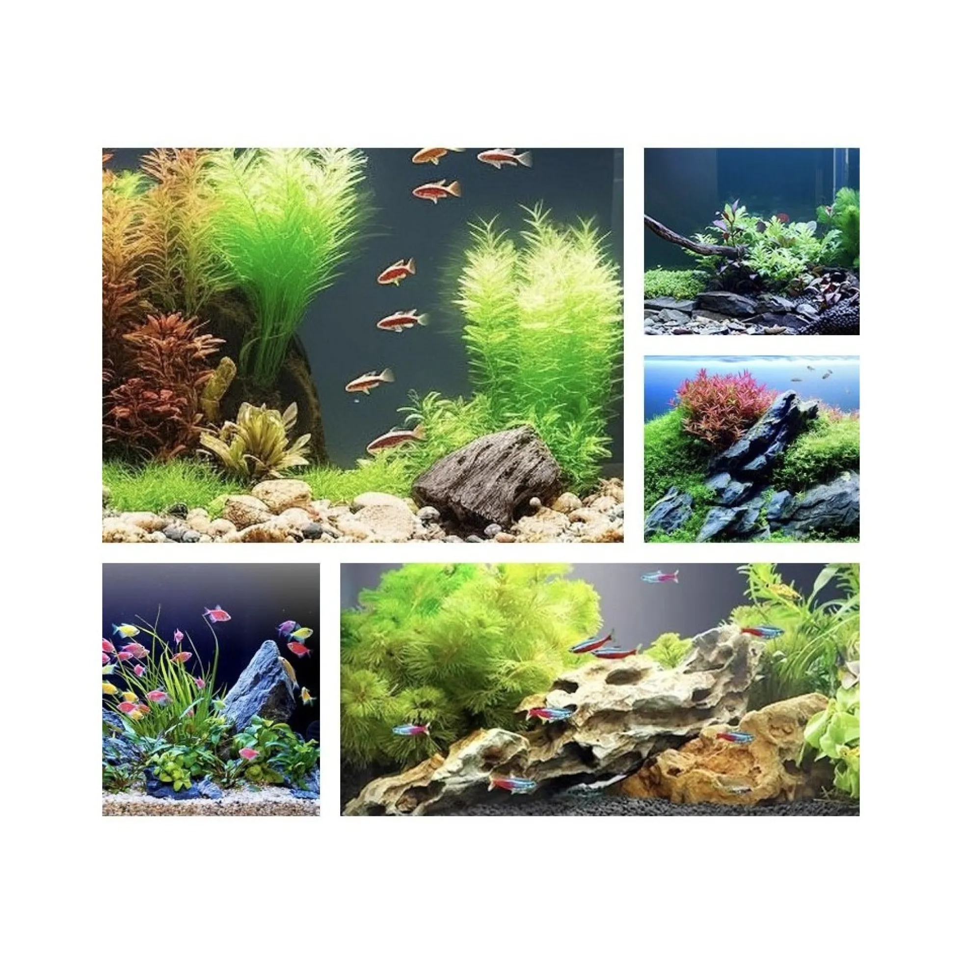 Akvarie armatur, 90 cm RGBW Wifi - 25W LED, IP67