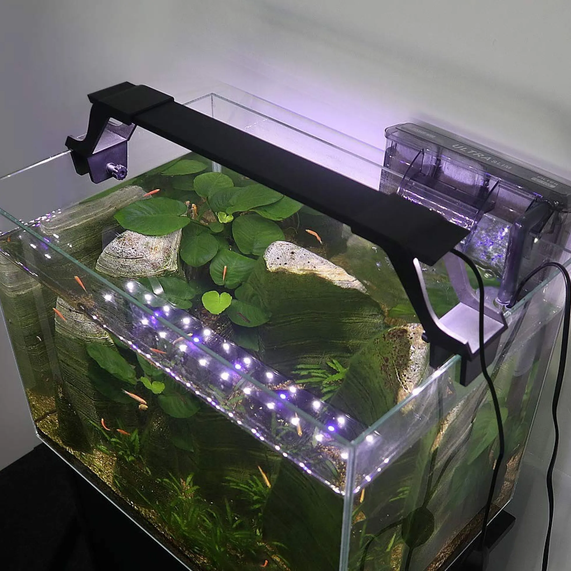 Akvariearmatur, LED, justerbar, hvid/blå - LEDlife