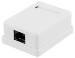 DELTACO Unshielded network socket, Surface UTP 1xRJ45, Cat6, hvid