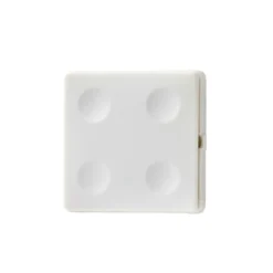 Fesh Smart 4-tryk på batteri, Zigbee