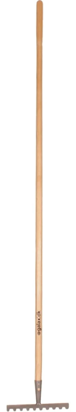 Galax rive, 10-tands, 25,2 cm