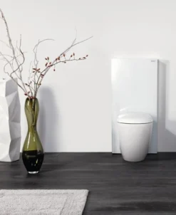 Geberit Monolith cisterne (back-to-wall toilet)