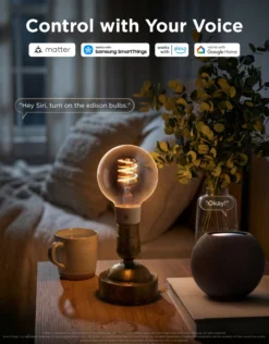 Govee E27 Smart Edison G80 Light Bulb, smart LED-globepære, 500 lm, dæmpbar, 2-pak