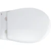 Grohe Bau væghængt toilet, inkl. soft close sæde, krom