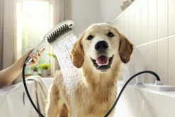 Hansgrohe DogShower håndbruser til hunde, 3 stråletyper, hundebruser