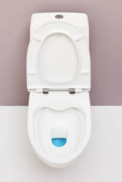 Laufen Kompas Væghængt toilet, rimless toilet med synlig cisterne