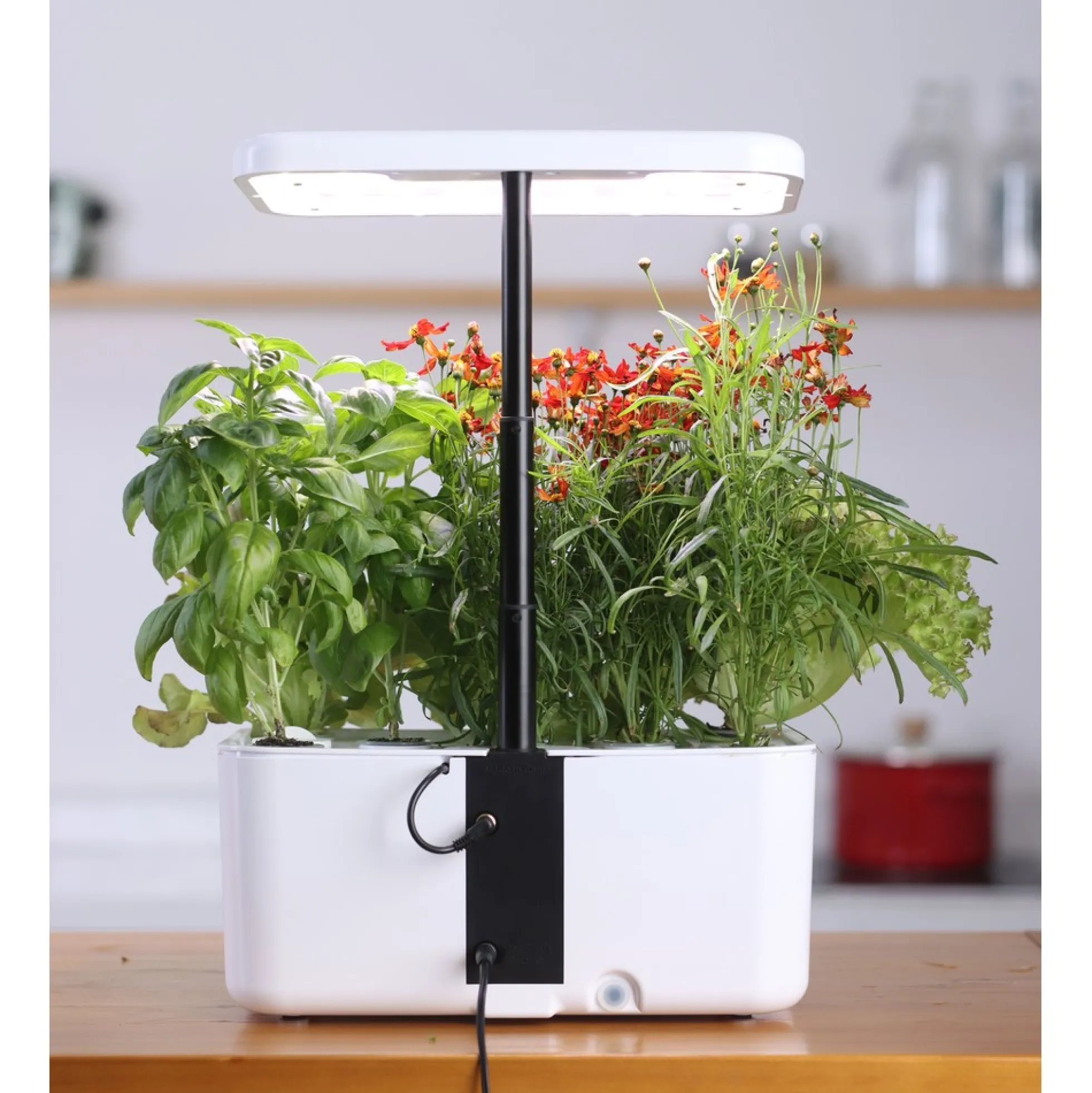 LEDlife hydroponisk køkkenhave, inkl. vækstlys, 8 pladser, timer, 2,8L vandtank, 18W, 120mm, 280mm, 170mm, ABS plastik, hvid