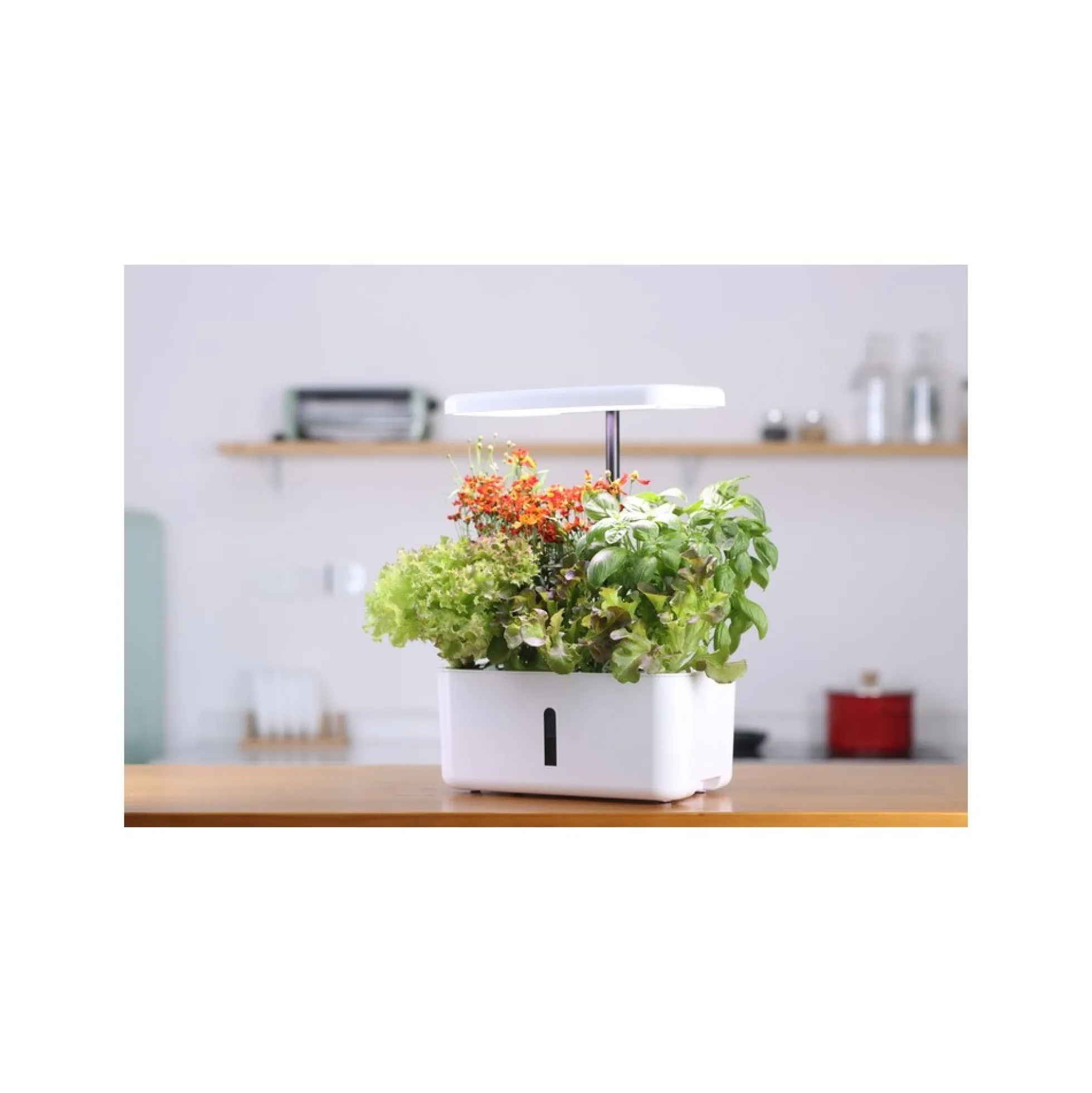 LEDlife hydroponisk køkkenhave, inkl. vækstlys, 8 pladser, timer, 2,8L vandtank, 18W, 120mm, 280mm, 170mm, ABS plastik, hvid