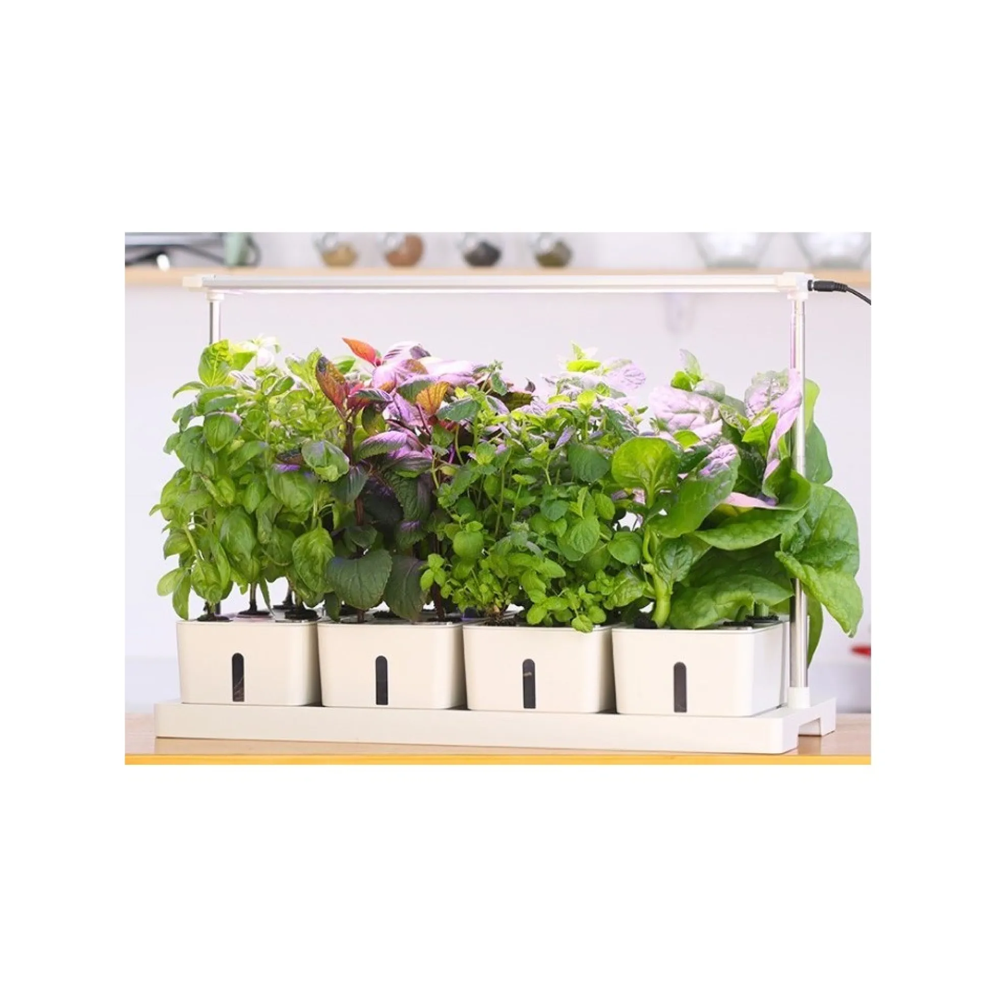 LEDlife hydroponisk plantebakke, Hvid, inkl. vækstlys, 20 pladser, 4x2L vandtank