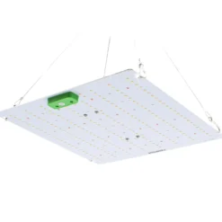 LEDlife Quantum vækstlampe, fuldt spektrum, uden blæser, IP65