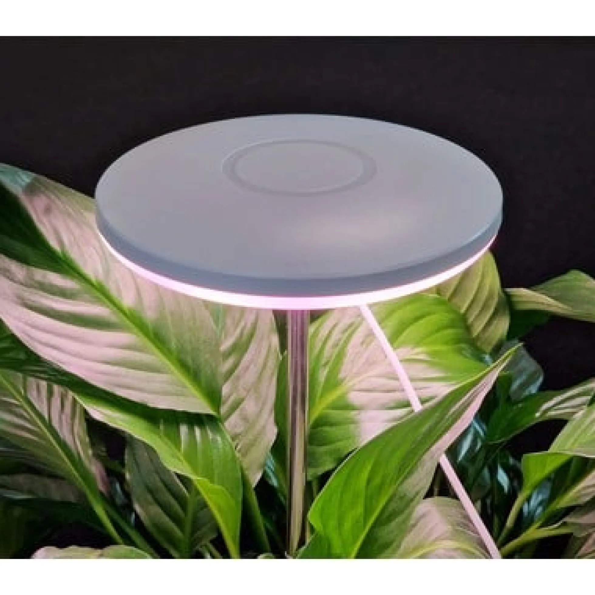 LEDlife Spyd Vækstlys, 14W, timer, dæmpbar, justerbar højde, 720lm, 230V