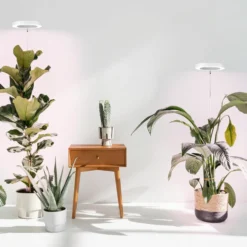 LEDlife Spyd Vækstlys, 14W, timer, dæmpbar, justerbar højde, 720lm, 230V