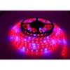LEDlife vækst LED strip, 8,5W/m, 5 meter, 60 LED pr. meter, 24V DC, IP65