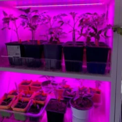 LEDlife vækstlys LED strip med aluprofil, 24V, 3:1 rød/blå IP65, med stik