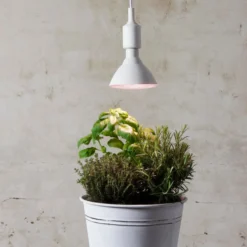 LED vækstpære plantelys, 16W, E27