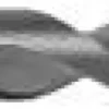Murbor Cordless, Ø10mm, arbejdslængde 83mm, totallængde 140mm