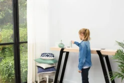 Netatmo Smart vejrstation med indendørs og udendørs modul