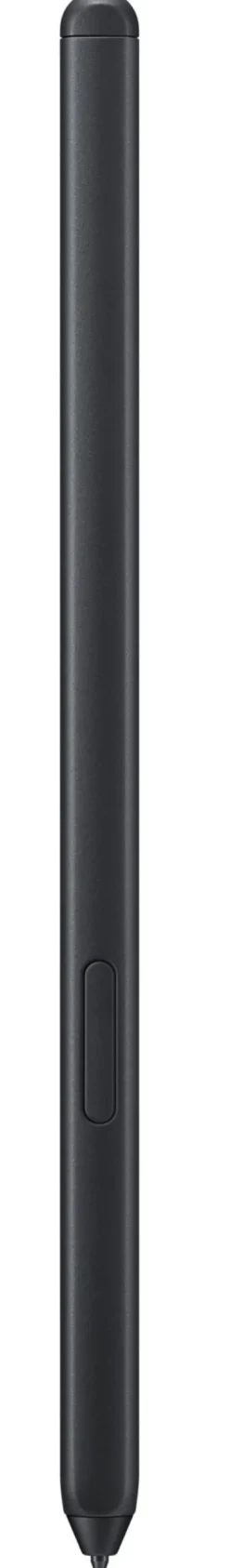 Samsung S Pen, Sort