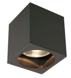 SLV Big Theo udendørs loftlampe, GU10