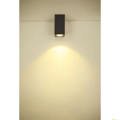 SLV Enola udendørs loftlampe, CCT 3000/4000K, antracit