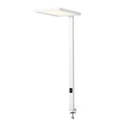 SLV WORKLIGHT, blændfri lampe til kontor