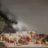 Star Trading Clippy advent lyskæde med klemmer, 24 stk, 2,4 meter