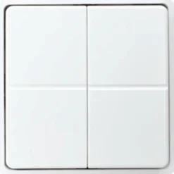 Tryk WS4-215ZE, ZIGBEE, ral 9016