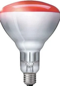 Varmelampe BR125 IR 250W E27, Rød, Infrarød