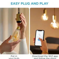 WiZ E27 LED-pære, ST64 amber, 640lm, Tunable White, 7 W, WiFi/Matter - 2 pak inkl. remote