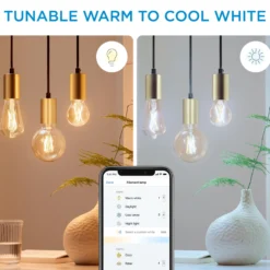 WiZ E27 LED-pære, ST64 amber, 810lm, Tunable White, 7W, WiFi/Matter